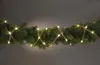 Star-Max Star-Max LED-Seil Weihnachtsdekoration 3 Meter Produktbild-Vorschau 1