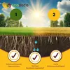 EcoDeco Graines de gazon gazon à semer 5kg, gazon terrain Voir les images du produit 3