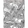 A detailed black and white illustration of multiple dragonflies. Produktbild-Vorschau