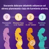 A marketing graphic illustrating the stages of pregnancy and postpartum, with icons and silhouettes of women. Produktbild-Vorschau