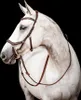 Horseware Ireland Snaffle Micklem 2 s gumovými otěžemi Náhled obrázku produktu 2