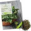 Brennnesselsamen - Heilkräuter Saatgut aus biologischem Produktbild-Vorschau 1