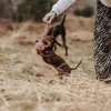 Hunter Inari, Hund, Seil, Rose, Baumwolle, Kauend, 6 cm Produktbild-Vorschau 10