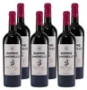 Doppio Amorello Primitivo IGT -halbtrocken- (6 x 0,75L) Produktbild-Vorschau 1