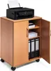 DURABLE Mobiletto multifunzione 74/53 con ante, Marrone, Anteprima dell’immagine prodotto 4