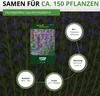 Ysop Mehrjährig Samen - Hyssopus officinalis - Ysopsamen - Produktbild-Vorschau 3