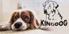 A close-up of a dog lying down next to a graphic of a dog's head and the text "KINGDOG". Voir les images du produit