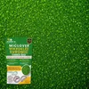 EcoDeco Mikroklee Samen 500 g, Weißklee Rasensamen, Produktbild-Vorschau 5