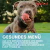 Supravit Hundenassfutter mit Strauß 6 x 820g Dosen | Produktbild-Vorschau 4