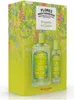 Středomořské Květiny, Kalábrie, Bergamot, Sada 2 Ks Náhled obrázku produktu 2