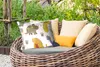 MuchoWow® Outdoor Kissen - Dinosaurier - Kinder - Design - Produktbild-Vorschau 3