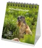 Murmeltierzauber Tischkalender 10x10cm für 2027 Murmeltier Produktbild-Vorschau 1