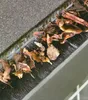 4m Dachrinnenbürste Marderschutz Dachrinnenigel Dachrinne Produktbild-Vorschau 2