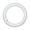Sylvania CIRC FC 22 W 840 T9 0001961 Leuchtstofflampe, Produktbild-Vorschau 3
