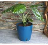 Jardinière ronde RIVIERA EVA NEW - Plastique - Diamètre 31 Voir les images du produit 1