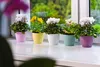Vaso da fiori KADAX "Agen", fioriera con sottovaso, bianco, Anteprima dell’immagine prodotto 7