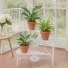Blumentreppe Lani im Vintage Stil mit 3 Ebenen, Breite 55 Produktbild-Vorschau 1