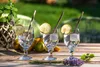 Three glasses of a clear beverage with ice and lemon slices, garnished with straws, are arranged on a wooden table outdoors, with a blurred green background of grass and foliage. Podgląd zdjęcia produktu