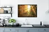 MuchoWow® Gerahmtes Poster Wald - Herbst - Sonne - Produktbild-Vorschau 3