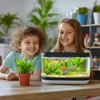 Kruger Meier Plant Grass Meadow - roślinka sztuczna Podgląd zdjęcia produktu 4