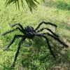 200cm Riesen Spinne Tarantula Plüsch Schwarz Halloween Deko Produktbild-Vorschau 5