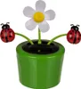 GiftyCity Fiore mobile, girasole, colore marrone Anteprima dell’immagine prodotto 3