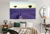 MuchoWow® Poster Lavendel - Bäume - Blumen - Natur 180x120 Produktbild-Vorschau 4