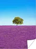 MuchoWow® Poster Baum - Lila - Himmel - Lavendel 120x160 cm Produktbild-Vorschau 1