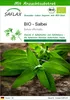 SAFLAX - BIO - Salbei - Salvia officinalis - 60 Samen - Mit Produktbild-Vorschau 1