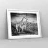 Gerahmtes Poster - Weißer Rahmen - Giraffen Schwarzweiß Produktbild-Vorschau 8