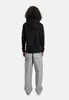Alpha Industries Kapuzenpullover ALPHA PP Hoodie Produktbild-Vorschau 4