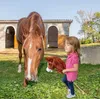 TE-Trend Kuscheltier Steckenpferd Spielpferd Pferd zum Produktbild-Vorschau 6