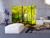Paravento monofacciale Paesaggi 225x172 cm 5 pezzi giallo Anteprima dell’immagine prodotto 5