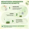 SF Nematoden gegen Ameisen- 20 Mio. für 40m² Mittel gegen Produktbild-Vorschau 4