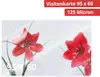 Olympia 9179 Laminierfolien 125 Mic Visitenkarten 100 Stück Produktbild-Vorschau 3