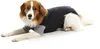 KRUUSE BUSTER Body Suit EasyGo für Hunde, 62 cm, XL Produktbild-Vorschau 3