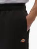 Pantaloni Dickies DK0A4XIMBLK1 da Uomo Anteprima dell’immagine prodotto 13
