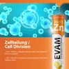 Zink + Vitamin C Brausetabletten 2 Produktbild-Vorschau 3