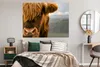 MuchoWow® Poster Schottischer Highlander - Orange - Nase Produktbild-Vorschau 4