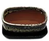 vaso per bonsai con sottovaso, misura 3 - bianco e nero - Anteprima dell’immagine prodotto 2