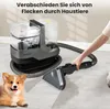 A person is using a carpet cleaner on a floor, with a dog lying nearby. Produktbild-Vorschau