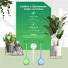 Wassertropfer XL Set 6 Stück für Pflanzen transparent - Produktbild-Vorschau 7