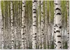 Tulup® Leinwandbild - 100x70 cm - Wandkunst - Drucke auf Produktbild-Vorschau 1