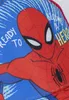 Casquette d'été Spiderman - Casquette enfant avec imprimé & Voir les images du produit 9