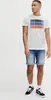 Blend 20715045 Tee Herren T-Shirt Kurzarm Shirt mit Print Produktbild-Vorschau 2