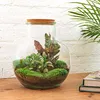 Urbanjngl Flaschengarten Teddy - 26.5 cm Produktbild-Vorschau 2