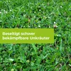 Universal-Rasen Unkrautfrei Loredo Quattro Protect Garden Produktbild-Vorschau 4