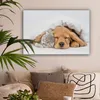 MuchoWow® - Leinwandbilder - Haustiere - Hund - Katze - Produktbild-Vorschau 2