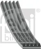 FEBI BILSTEIN Keilrippenriemen 1030mm für OPEL Astra G CC Produktbild-Vorschau 13