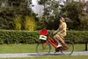 A woman rides a red bicycle with a basket on the front, in a park-like setting. Produktbild-Vorschau